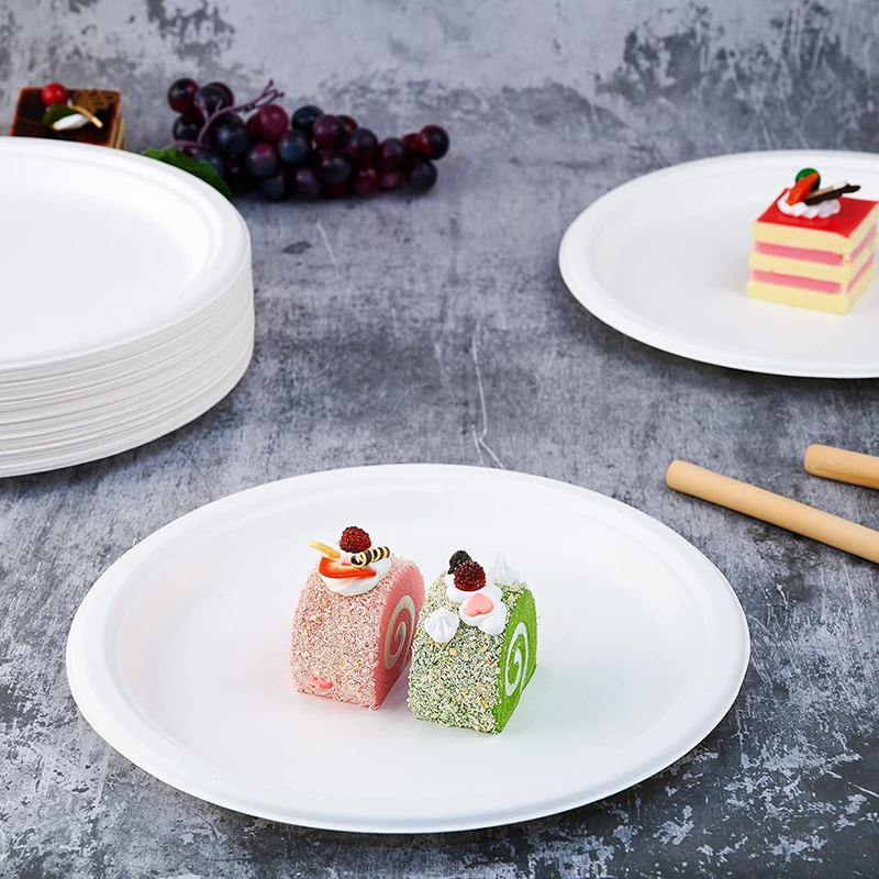 Disposable Bagasse Plates