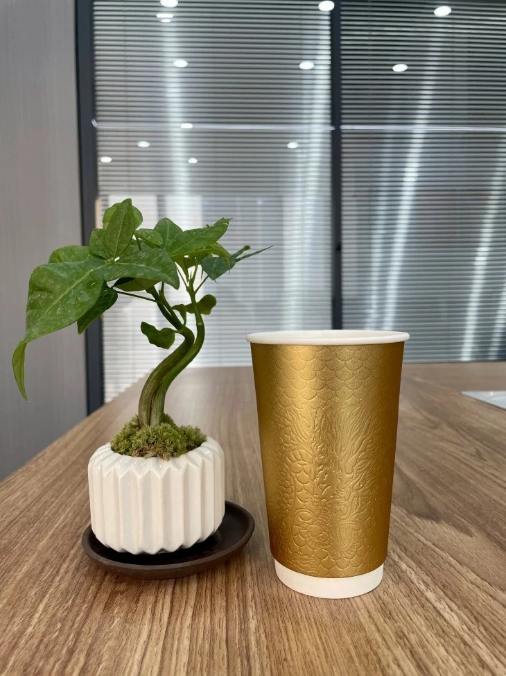 Paper Cups Bulk
